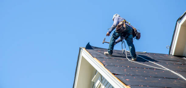 Best Local Roofing Companies  in Chincoteague, VA